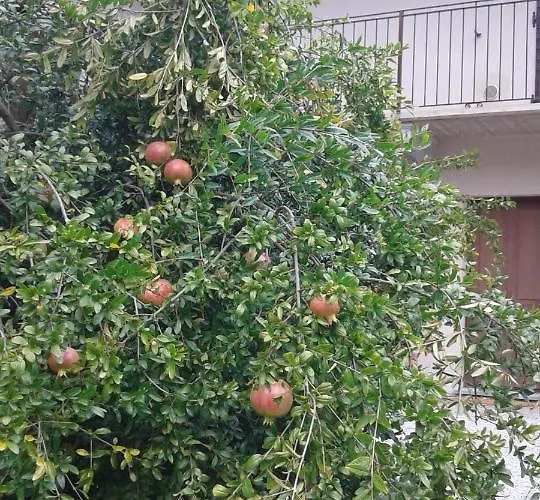 Cascina Monache Apartment Santa Vittoria d'Alba